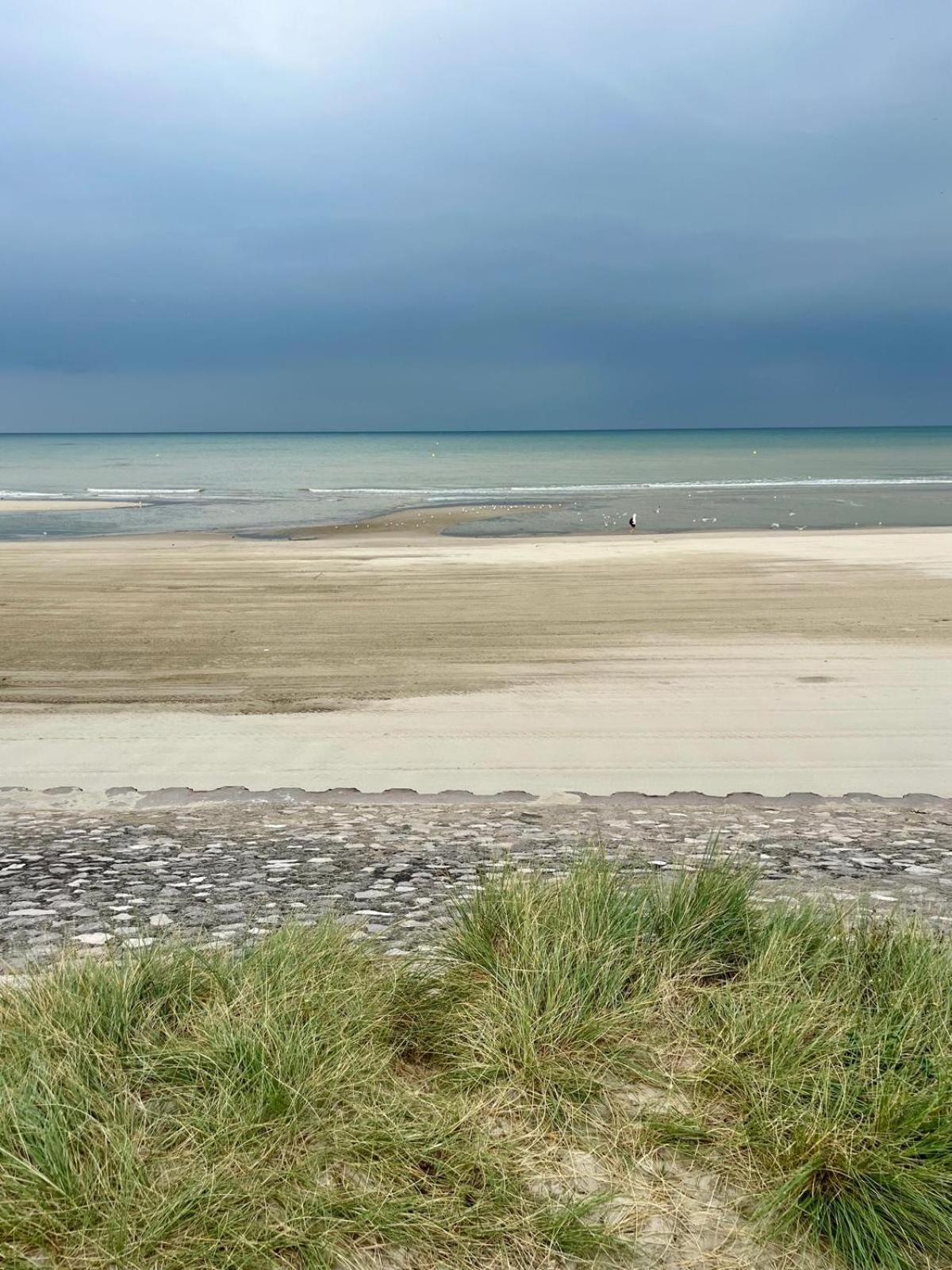 L Oree De La Pinede Hardelot Plage A 800 Metres De La Mer Sous Les Pins 외부 사진