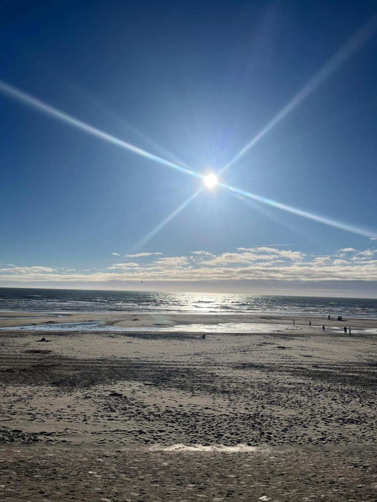 L Oree De La Pinede Hardelot Plage A 800 Metres De La Mer Sous Les Pins 외부 사진