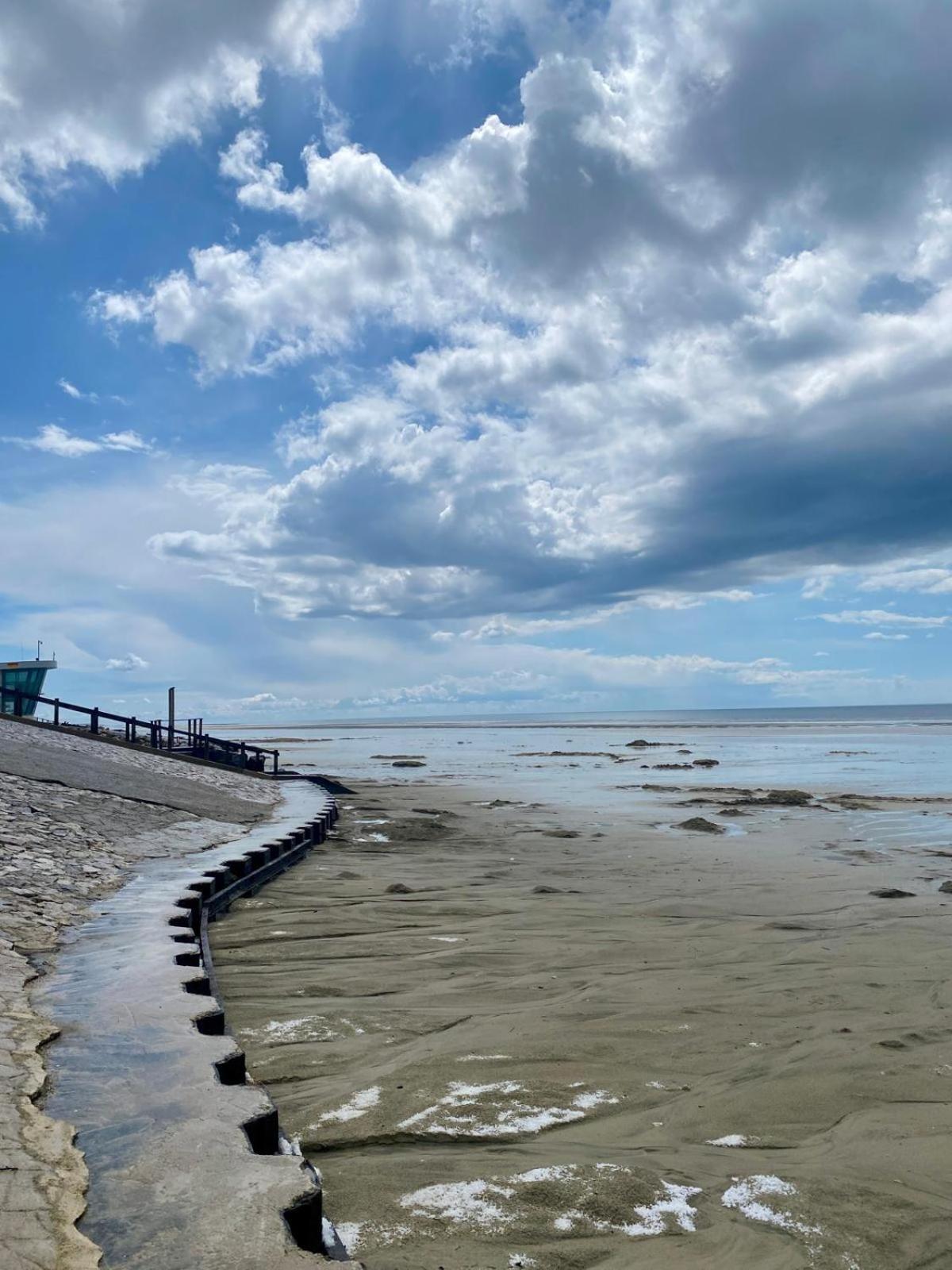 L Oree De La Pinede Hardelot Plage A 800 Metres De La Mer Sous Les Pins 외부 사진